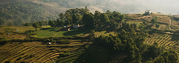 kodaikanal mountain